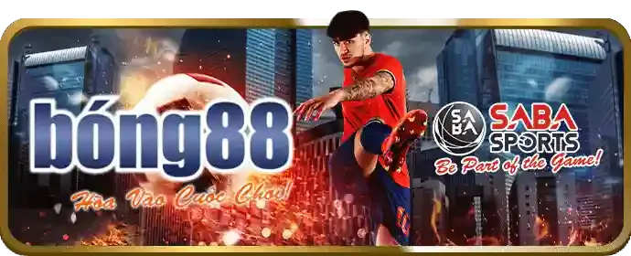Mạng xã hội chính thức của VVWIN